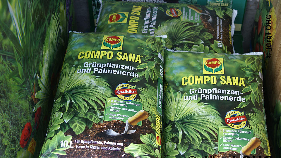 COMPO Sana - Grünpflanzen-, Palmenerde