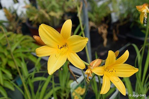 <tmpl_var block_image2_description | HTML >