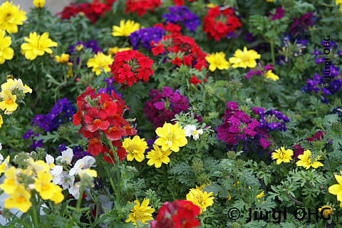 <tmpl_var block_image5_description | HTML >