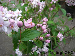 <tmpl_var article_image2_description | HTML >