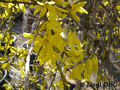 <tmpl_var article_image3_description | HTML >