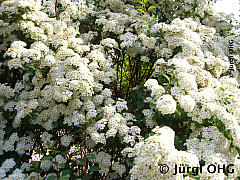 <tmpl_var article_image3_description | HTML >