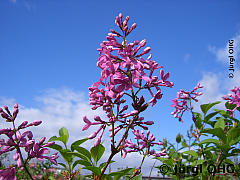 <tmpl_var article_image3_description | HTML >