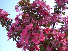 <tmpl_var article_image4_description | HTML >