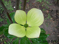 <tmpl_var article_image3_description | HTML >