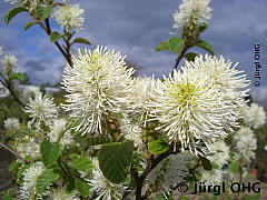 <tmpl_var article_image2_description | HTML >