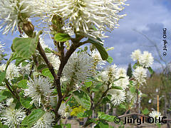 <tmpl_var article_image3_description | HTML >